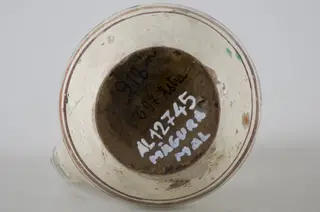 Vas ceramic smălțuit de mici dimensiuni, piriform, cu baza plată și bombat în zona „pântecelui”. Prezintă o toartă ce pornește din zona gâtului redus ca dimensiuni și se termină în zona diametrul maxim al vasului. Decorul vasului este compus din trei registre picturale. În primul registru au fost pictate două flori albe pe fundal verde și o a treia pe fundal maro, fiind despărțite prin linii de culoare galbenă. Cel de-al doilea registru a fost decorat cu motive geometrice stilizate, linii și triunghiuri afrontate de culoare galbenă, pe fundal de culoare verde. Ultimul registru a fost decorat cu linii de culoare maro și galben, asemenea cu trei brazi și înconjurate de câte două frunze de culoare verde. Toate cele trei registre picturale sunt încadrate de câte trei linii concentrice (două subțiri și una lată) de culoare maro-închis și maro-roșcat. Pe toartă este decorat cu linii paralele orizontale. Cromatică: fond alb; motive: galben; verde; maro.