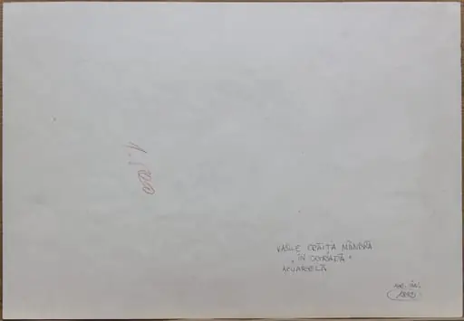 În ogradă, by Vasile Crăiță Mândră