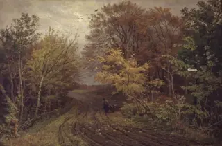 Vej i Borrevejle Skov. Oktoberdag