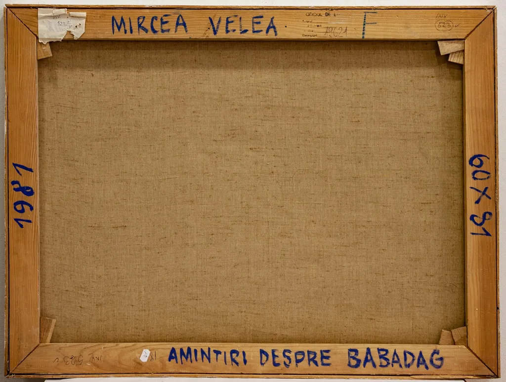 Amintiri despre Babadag, by Velea Mircea, unspecified