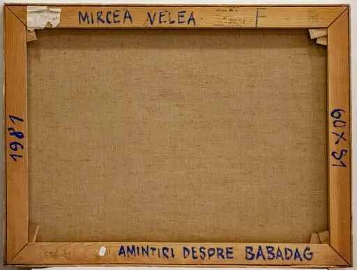 Amintiri despre Babadag, by Velea Mircea