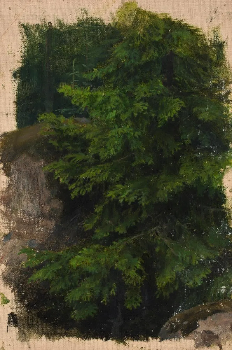 Kuusi, by Verner Thomé, unspecified