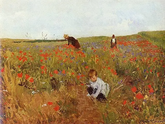 Poppies in a Field