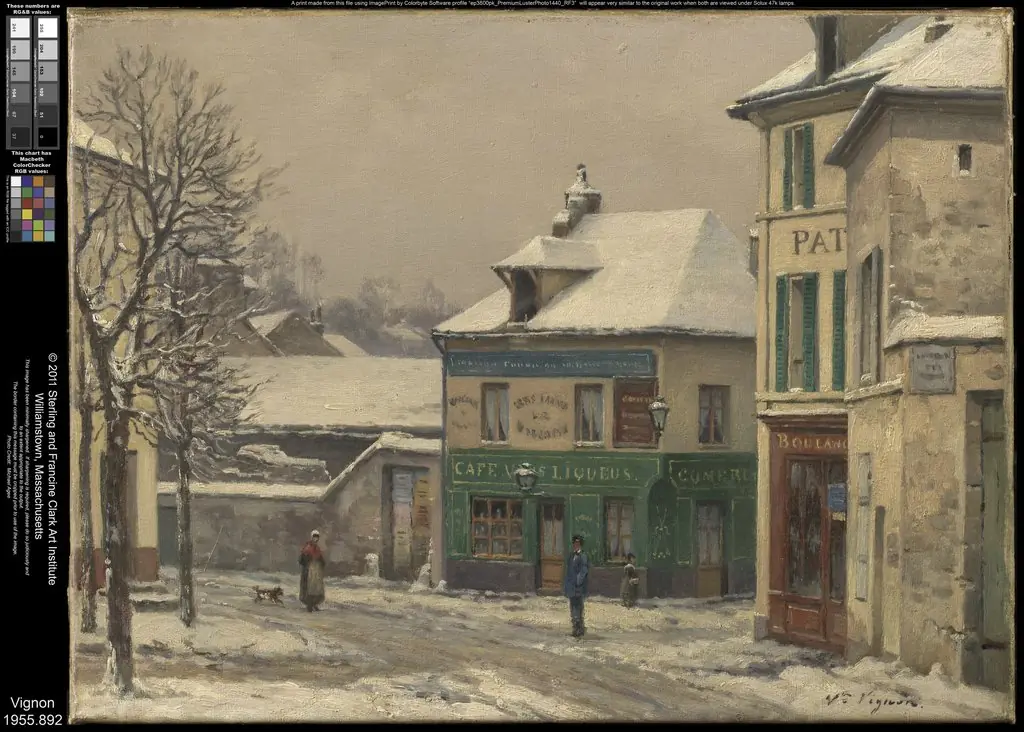 Snow Effect in the Suburbs, by Victor Vignon