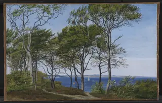 View Through Beech Trees Across a Fiord