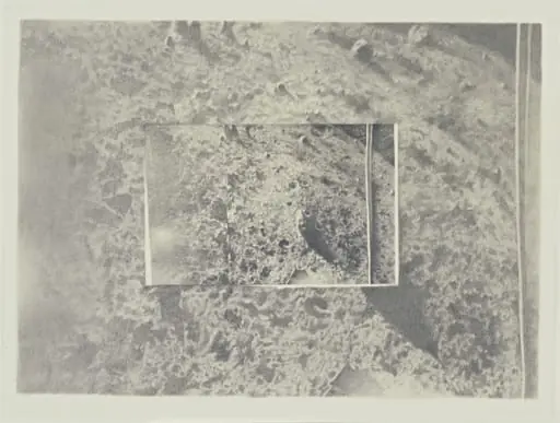 Untitled, by Vija Celmins