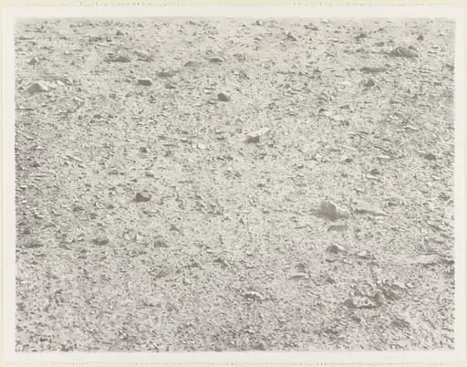 Untitled, by Vija Celmins