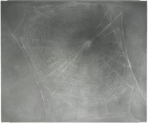 Untitled, by Vija Celmins