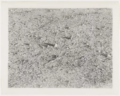 Untitled, by Vija Celmins