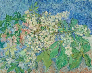 Blossoming Chestnut Branches, by Vincent van Gogh