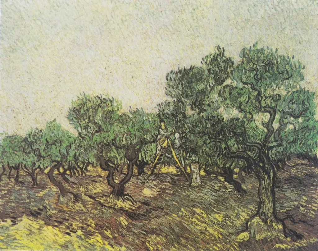 Olive Picking, by Vincent van Gogh