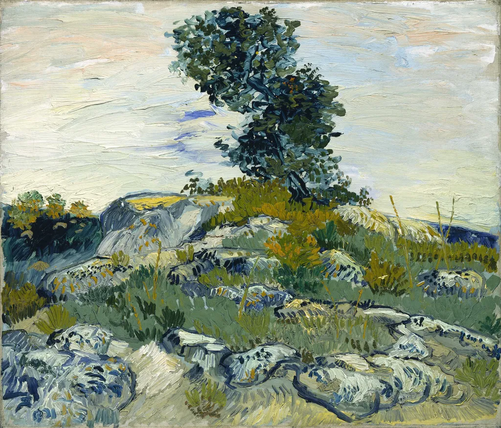 Rocks, by Vincent van Gogh, oil, 1888