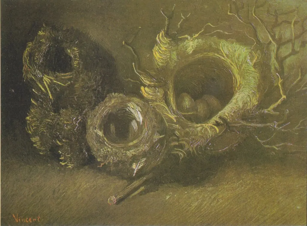 Still Life with Three Birds' Nests, by Vincent van Gogh
