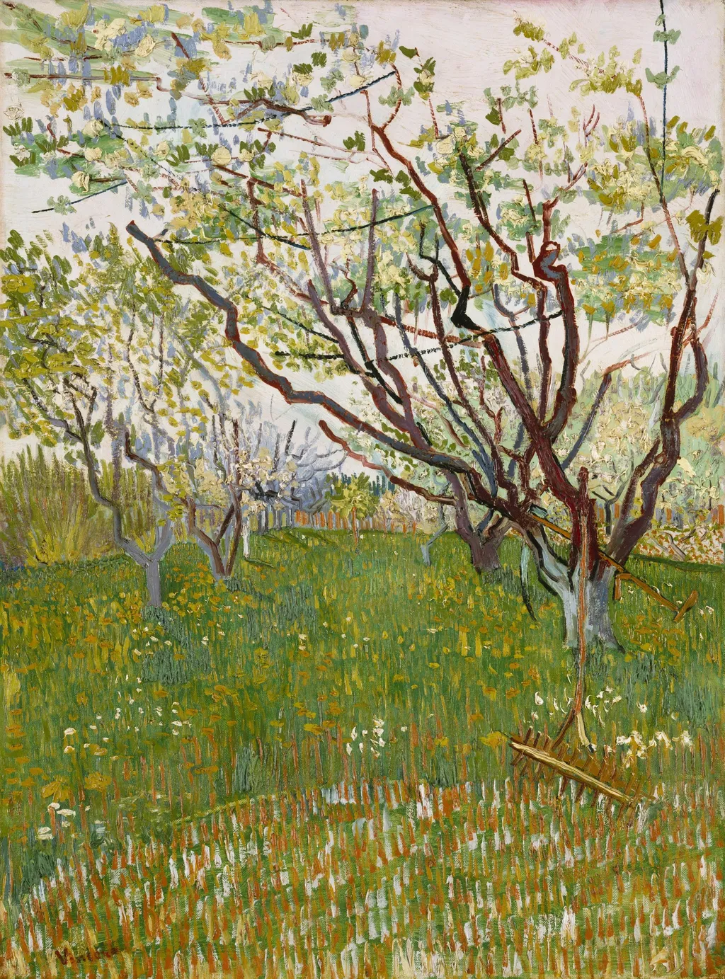 The Flowering Orchard, by Vincent van Gogh, oil