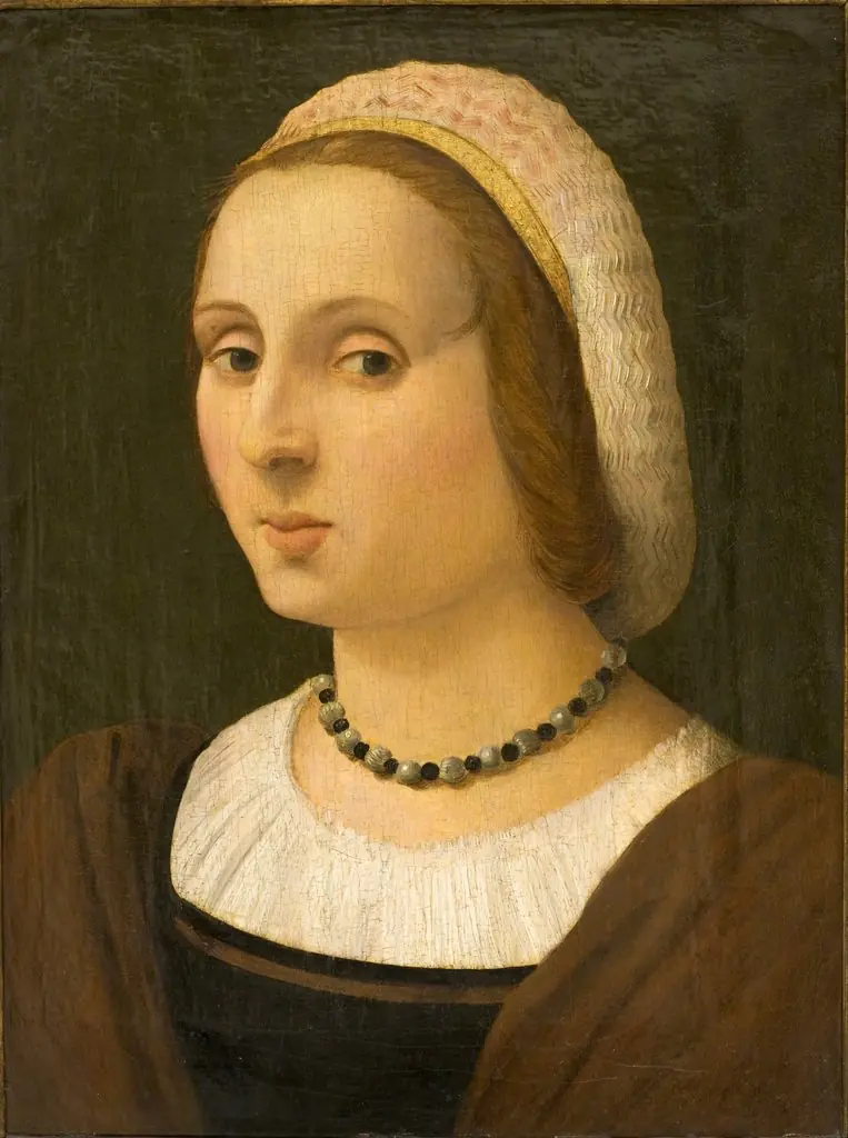 Portrait of a Lady, by Vincenzo Tamagni