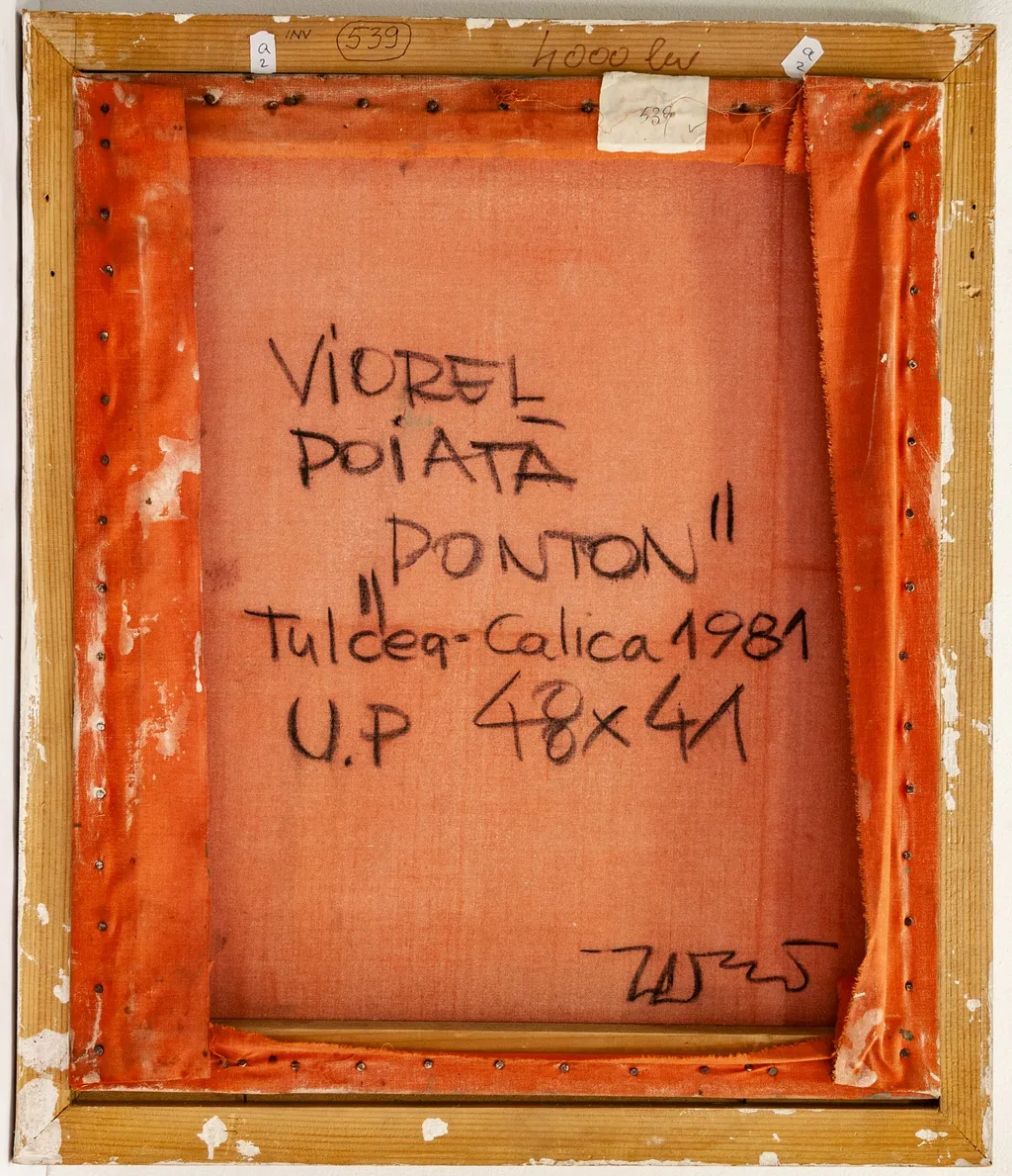 Ponton, by Viorel Poiată, unspecified