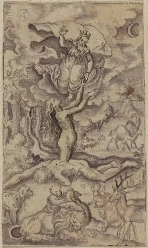 The Creation of Eve, by Virgil Solis