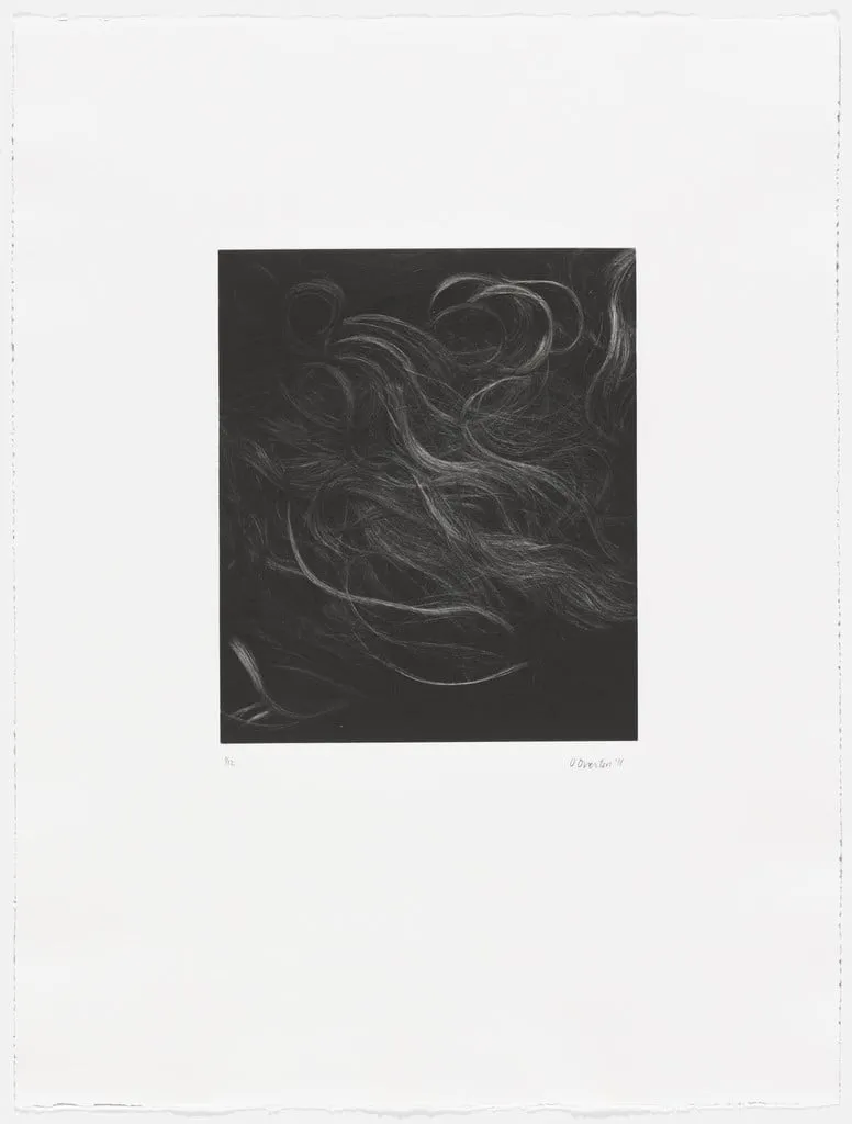 Untitled, by Virginia Overton, 2011