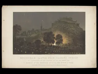 H Beard Print Collection