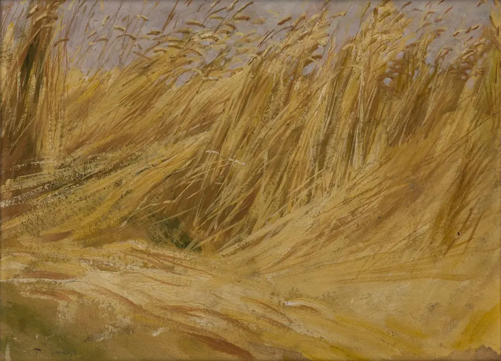 Corn Field (Study), by Włodzimierz Tetmajer