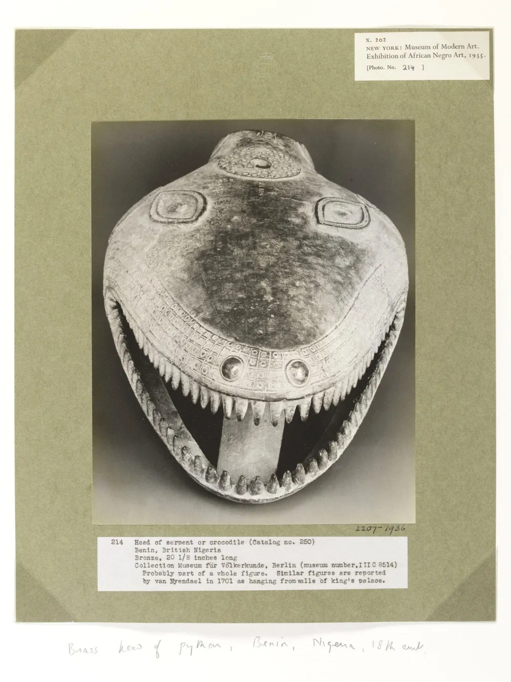Snake's Head. Benin., by Walker Evans, photographic, 1935