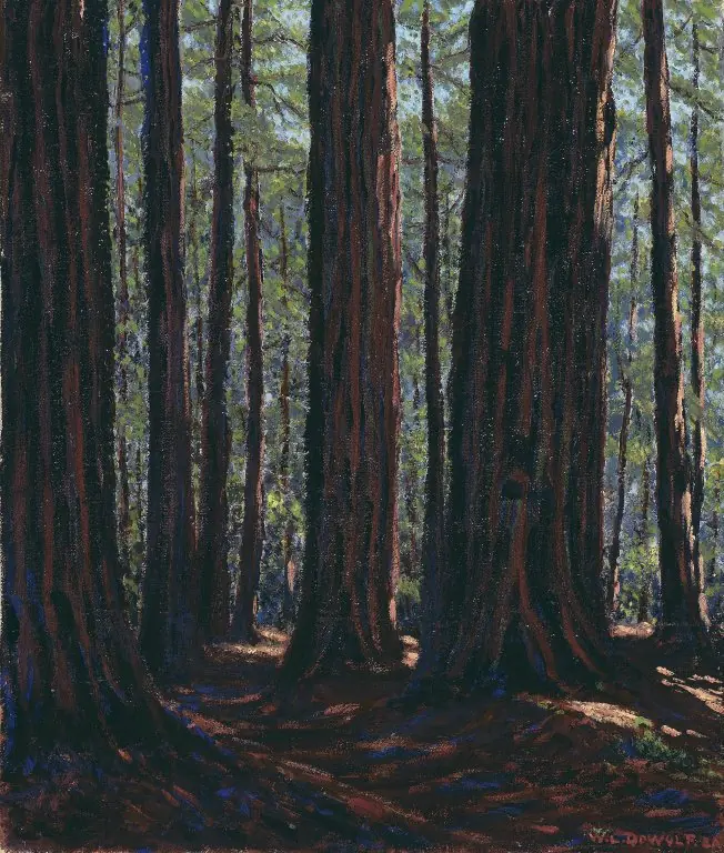 Among the Redwoods, by Wallace Leroy DeWolf