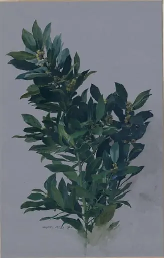 A Branch of Bay, by Walter John James