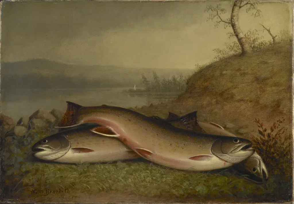 Trout, by Walter M. Brackett