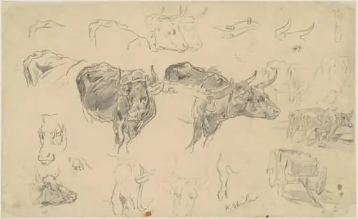 Studies of Oxen, by Walter Shirlaw