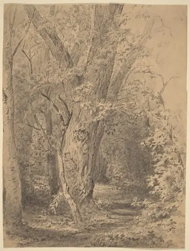 Tree and Foliage, by Walter Shirlaw