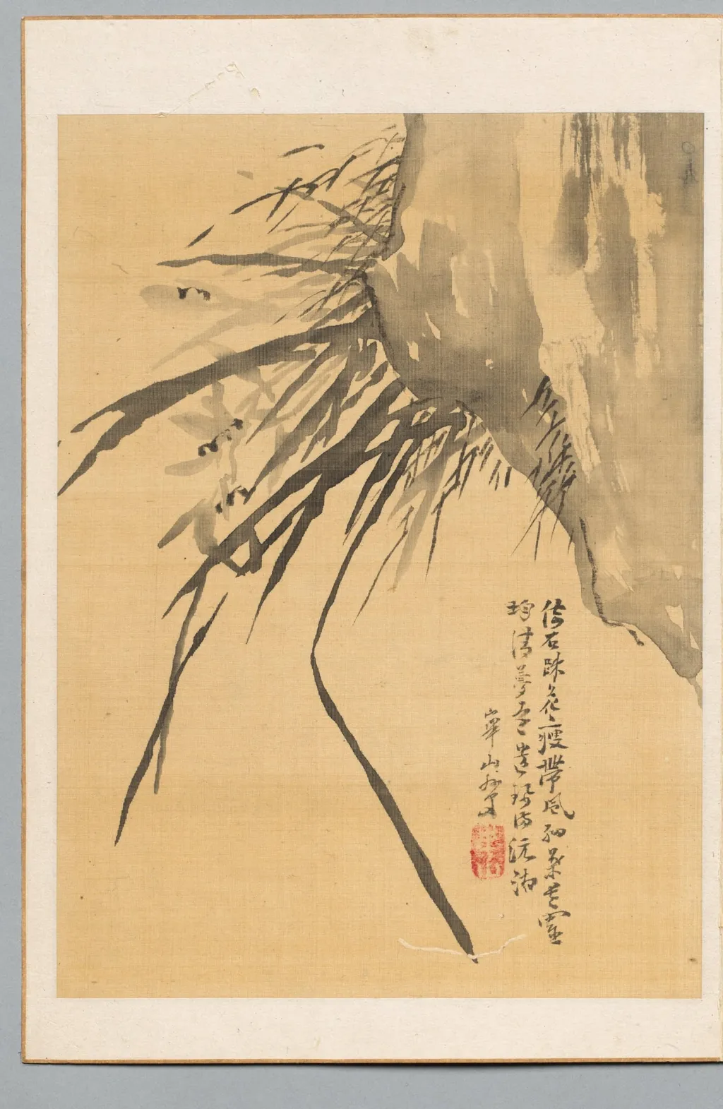 Orchid, by Watanabe Kazan, 1804