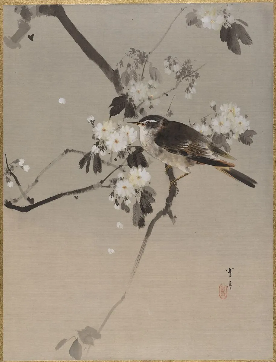 桜に小禽図|Birds on a Flowering Branch, by Watanabe Seitei, ink, 1887