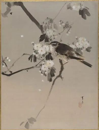 桜に小禽図|Birds on a Flowering Branch, by Watanabe Seitei