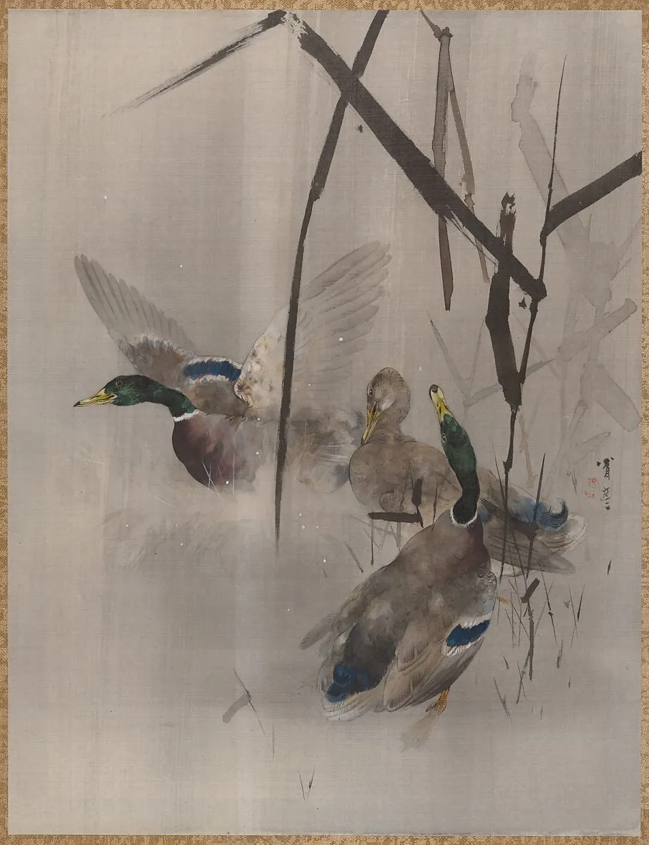 Untitled, by Watanabe Seitei, ink, 1887