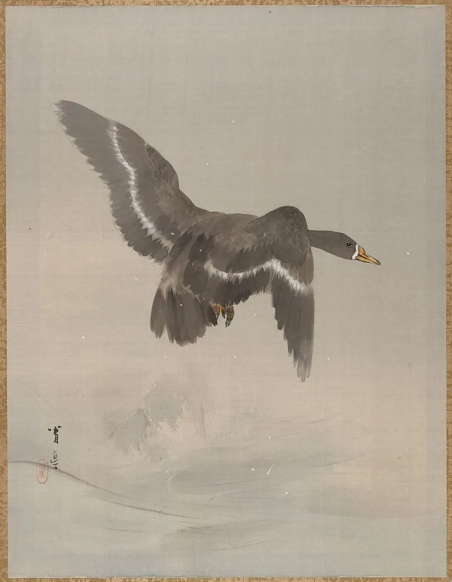 Untitled, by Watanabe Seitei, ink, 1887
