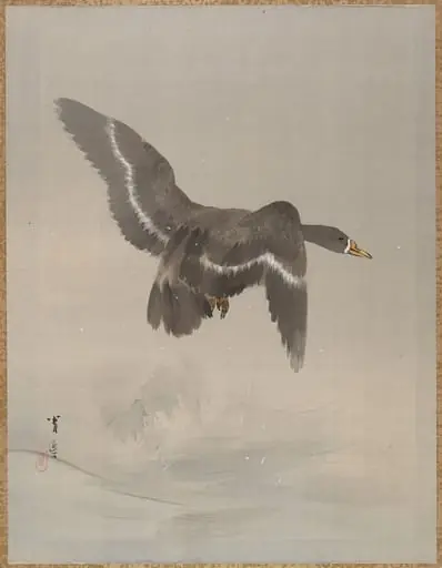 Untitled, by Watanabe Seitei