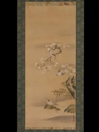 清原雪信筆　緋連雀桜竹図|Waxwings, Cherry Blossoms, and Bamboo
