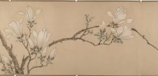 明 佚名(文徵明款) 玉蘭圖 卷|Magnolia, by Wen Zhengming|Unidentified artist