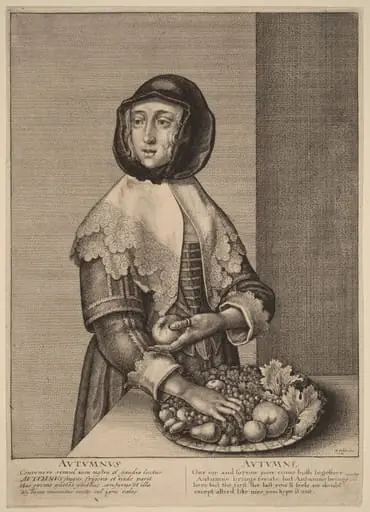 Autumn, by Wenceslaus Hollar