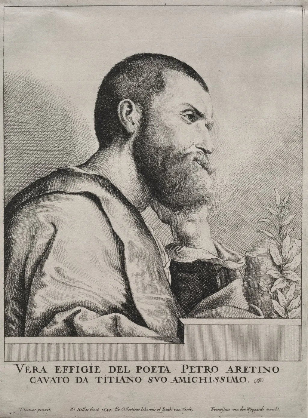 Portrait of Pietro Aretino, by Wenceslaus Hollar, 1649