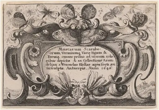 Title Page, by Wenceslaus Hollar