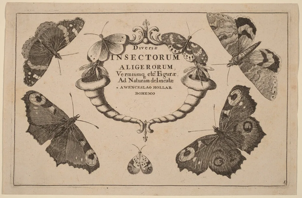 Title Page, by Wenceslaus Hollar, ink, 1648
