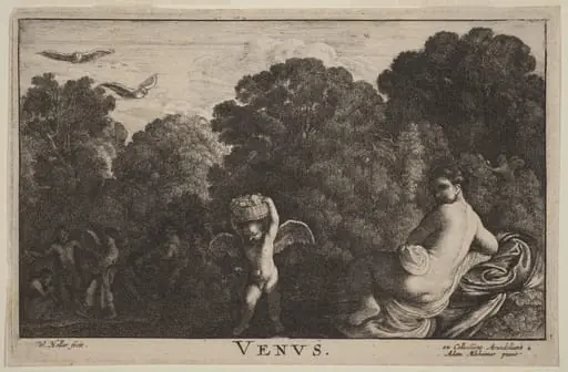 Venus, by Wenceslaus Hollar