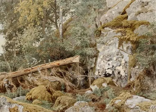 Sammaleinen kallio metsässä, by Werner Holmberg