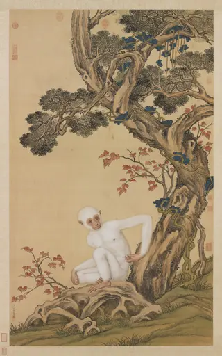 White Gibbon