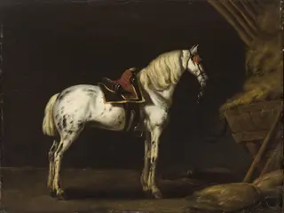 White Horse in a Stable