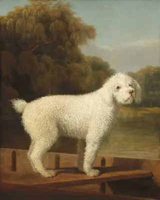 White Poodle in a Punt, by George Stubbs