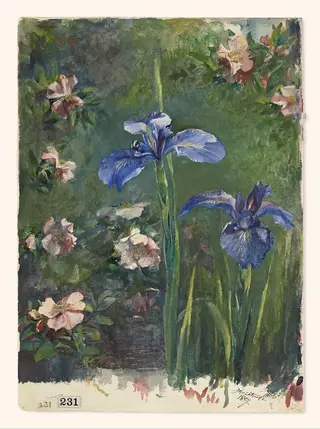 Wild Roses and Irises, by John La Farge