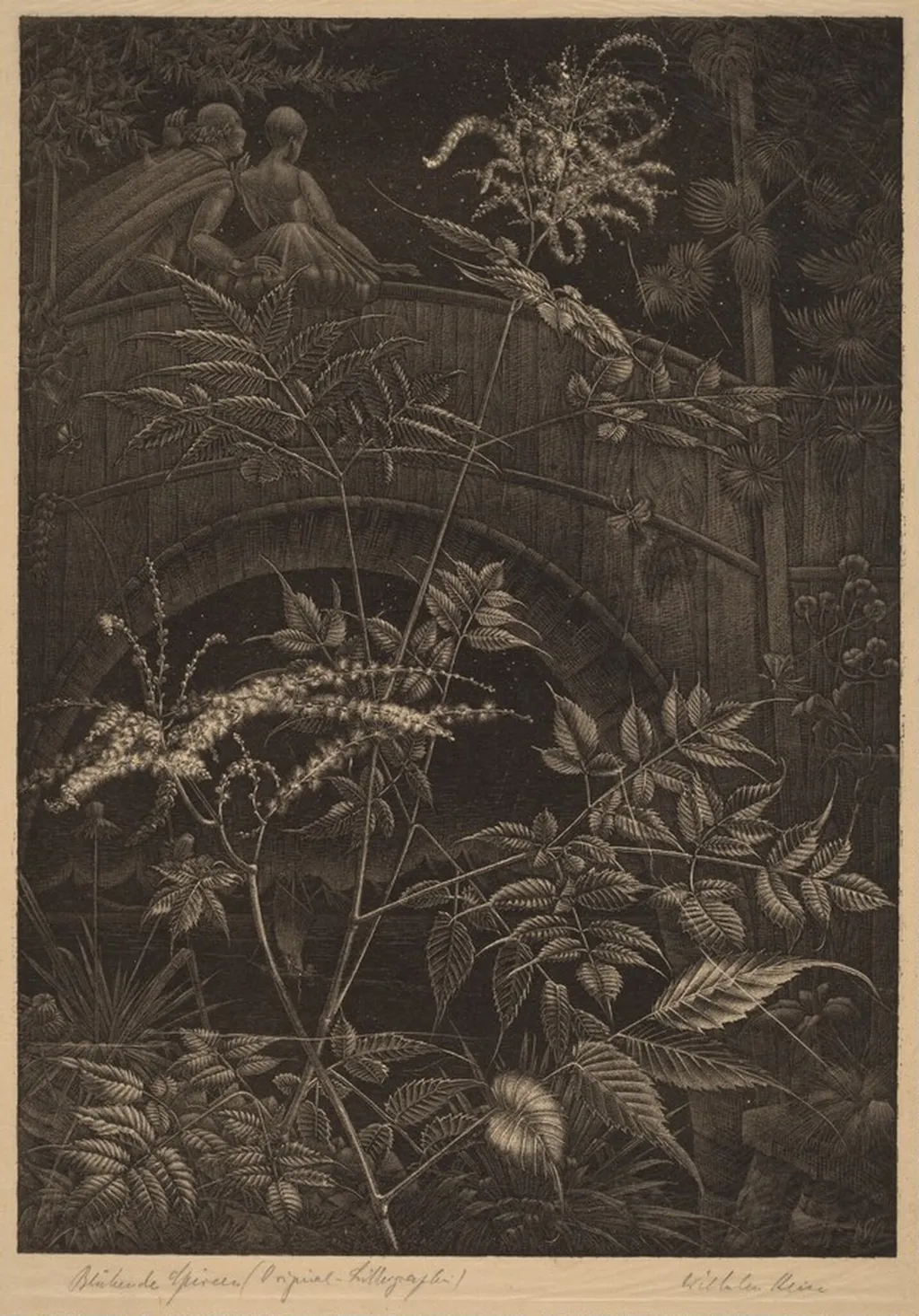 Blühende Spireen (Blooming Spiraea), by Wilhelm Heise, ink, 1925