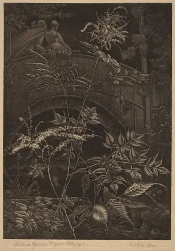 Blühende Spireen (Blooming Spiraea), by Wilhelm Heise